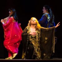 NadiYa's Oriental Dancing Arts NadiYa's Oriental Dancing Arts